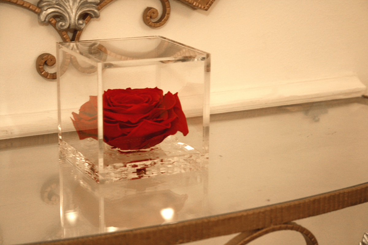 gall-00-particolare-rosa-01-sk
